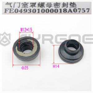 VALVE COVER GASKET NUT AND CAP