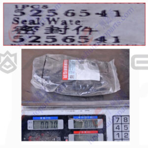OIL GASKET