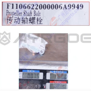 DRIVE SHAFT SCREW