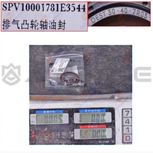 OIL SEAL