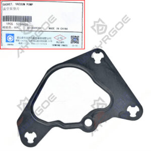 ENGINE VACUUM PUMP WASHER