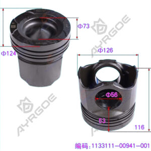 PISTON ASSY