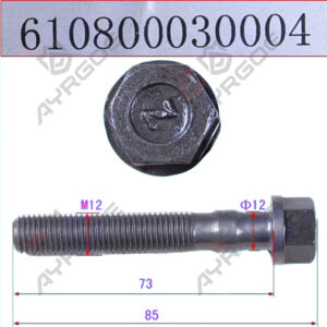 CONNECTING ROD SCREW