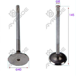 ENGINE VALVE (IN)