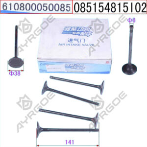 ENGINE VALVE (IN)