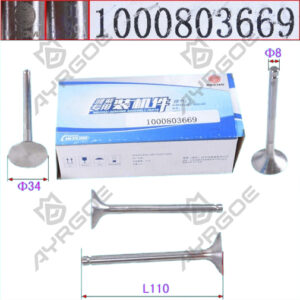 ENGINE VALVE (EX)