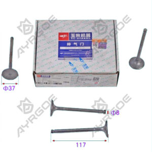 ENGINE VALVE (EX)