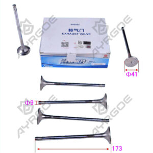 ENGINE VALVE (EX)