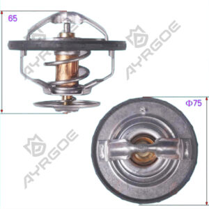 THERMOSTAT