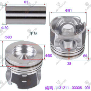 PISTON KIT