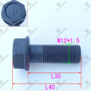 FLYWHEEL SCREW