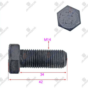 FLYWHEEL SCREW