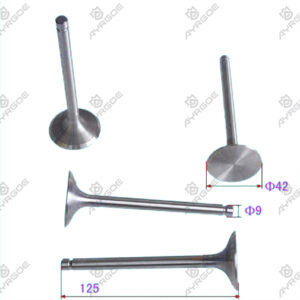ENGINE VALVE (IN)