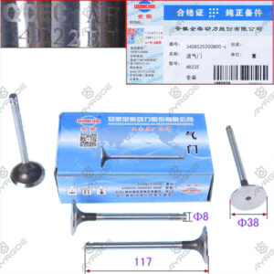 ENGINE VALVE (IN)