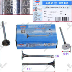ENGINE VALVE (IN)
