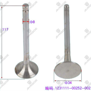 ENGINE VALVE (IN)