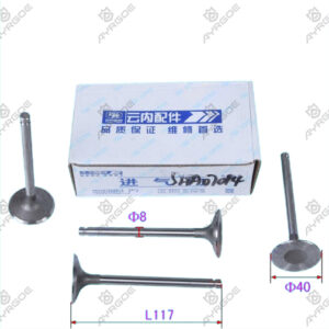 ENGINE VALVE (IN)