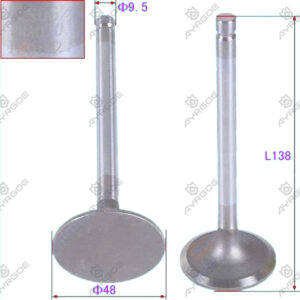 ENGINE VALVE (IN)