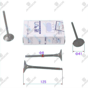 ENGINE VALVE (IN)