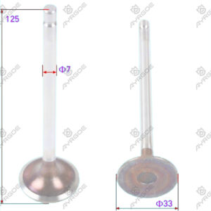 ENGINE VALVE (IN)