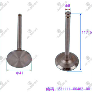 ENGINE VALVE (IN)