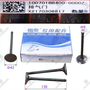 ENGINE VALVE (EX)
