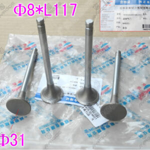 ENGINE VALVE (EX)