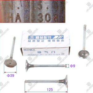 ENGINE VALVE (EX)