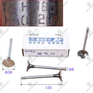 ENGINE VALVE (EX)