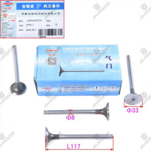 ENGINE VALVE (EX)