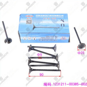 ENGINE VALVE (EX)