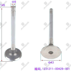 ENGINE VALVE (EX)