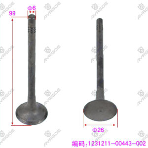 ENGINE VALVE (EX)
