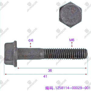 CAMSHAFT SCREW