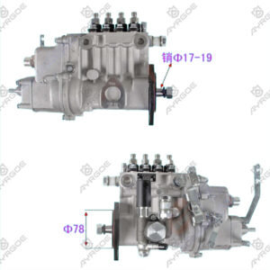 HIGH PRESSURE INJECTION PUMP