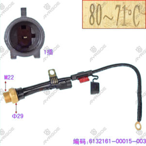 TEMPERATURE CONTROLLED SWITCH