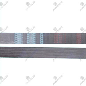BELT